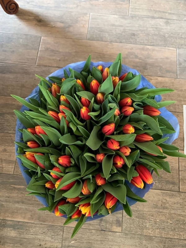Тюльпани опт,  8 березня,  квіти 3