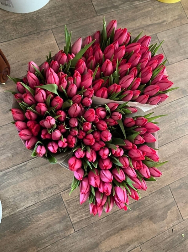 Тюльпани опт,  8 березня,  квіти 5