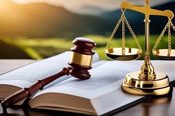 Адвокат Виноградар Київ — правова допомога поруч з Вами 2