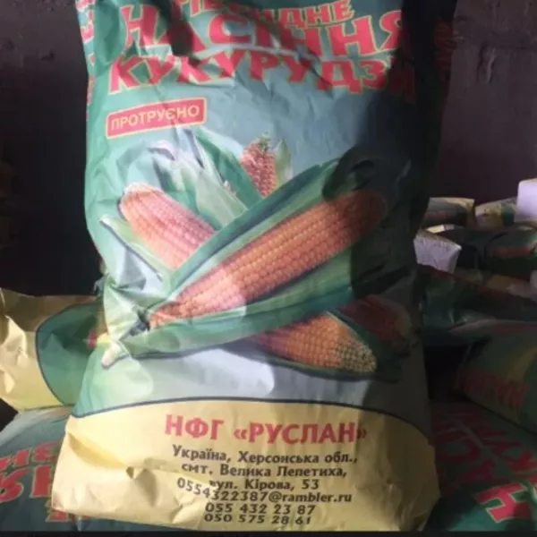 Семена кукурузы,  насіння кукурудзи ТАР-349 2
